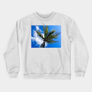 A Palm Tree in the Sky Crewneck Sweatshirt